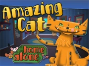 Amazing Cat Online Casual Games on taptohit.com