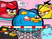 Angry Cats Online animal Games on taptohit.com