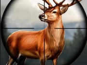 Animal Safari Hunter 2020 Online Shooter Games on taptohit.com