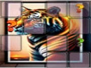 Animal Tiger Memory Match Online animal Games on taptohit.com