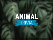 Animal Trivia Online Puzzle Games on taptohit.com