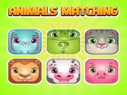 Animals Memory Matching Online Puzzle Games on taptohit.com