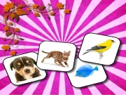 Animals Memory Online Puzzle Games on taptohit.com