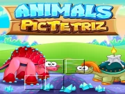 Animals Pic Tetriz Online Puzzle Games on taptohit.com