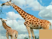 Animals Slide Puzzle Online Puzzle Games on taptohit.com