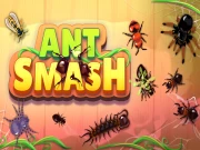 Ant Smash Online Casual Games on taptohit.com