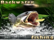 Backwater Fishing Online Simulation Games on taptohit.com