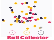 Ball Collector Online Puzzle Games on taptohit.com