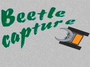 Beetle capture Online Casual Games on taptohit.com