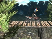 Bike Trial Xtreme Forest Online Casual Games on taptohit.com
