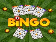 Bingo Revealer Online Casual Games on taptohit.com