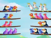 Bird Sort Puzzle Online Puzzle Games on taptohit.com