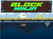 Block Ninja  Online arcade Games on taptohit.com