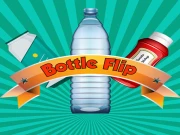 Bottle Flip Online fun Games on taptohit.com