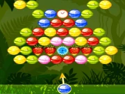 Bubble Shooter Fruits Candies Online Bubble Shooter Games on taptohit.com