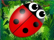Bug Match Online match-3 Games on taptohit.com