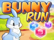 Bunny Run Online Casual Games on taptohit.com