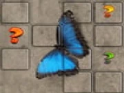 Butterfly Memory Match Online animal Games on taptohit.com