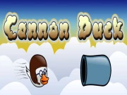 Cannon Duck Online Casual Games on taptohit.com