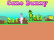 Cano Bunny Online adventure Games on taptohit.com