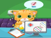 Cat Doctor Sim Online Simulation Games on taptohit.com