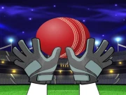 Catch The Balls Online Sports Games on taptohit.com