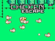 Chicken Escape - 2 Player Online two-player Games on taptohit.com