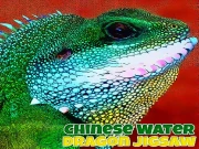 Chinese Water Dragon Jigsaw Online Puzzle Games on taptohit.com
