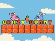 Crazy Bunny Online Adventure Games on taptohit.com
