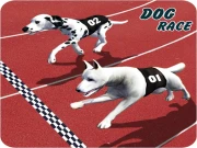 Crazy Dog Racing Fever : Dog Race Game 3D Online Racing & Driving Games on taptohit.com