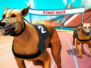 Crazy Dog Racing Fever Online Racing & Driving Games on taptohit.com