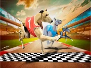 Crazy Dog Racing Game 2020 Online Racing & Driving Games on taptohit.com