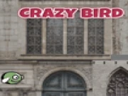 CrazyBird Online arcade Games on taptohit.com