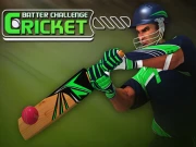Cricket Batter Challenge Game Online Sports Games on taptohit.com