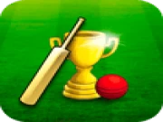Cricket Championship	 Online sports Games on taptohit.com