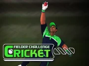 Cricket Fielder Challenge Game Online Football Games on taptohit.com