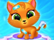 Cute Cat Doctor Online Care Games on taptohit.com