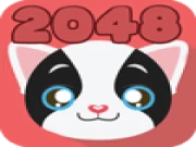 Cute Cats 2048 Online 2048 Games on taptohit.com