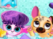 Cute Pet Friends Online Art Games on taptohit.com