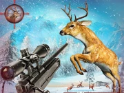 Deer Hunting Sniper Shooting Online Shooter Games on taptohit.com