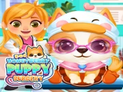 Doc HoneyBerry Puppy Surgery Online Care Games on taptohit.com