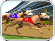 Dog Race Sim 2020: Dog Racing Games Online Racing & Driving Games on taptohit.com