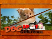 Dog Spot the Difference Online Puzzle Games on taptohit.com