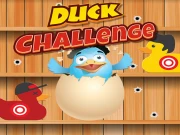 Duck Challenge Online Casual Games on taptohit.com