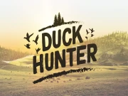 Duck Hunter Online arcade Games on taptohit.com