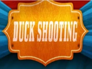 DuckShooting Online Clicker Games on taptohit.com