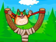 EG Angry Cat Online Casual Games on taptohit.com