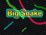 EG Big Snake Online Casual Games on taptohit.com