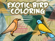 Exotic Birds Coloring Online Art Games on taptohit.com