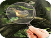 Fairy Woods Hidden Objects Online puzzle Games on taptohit.com